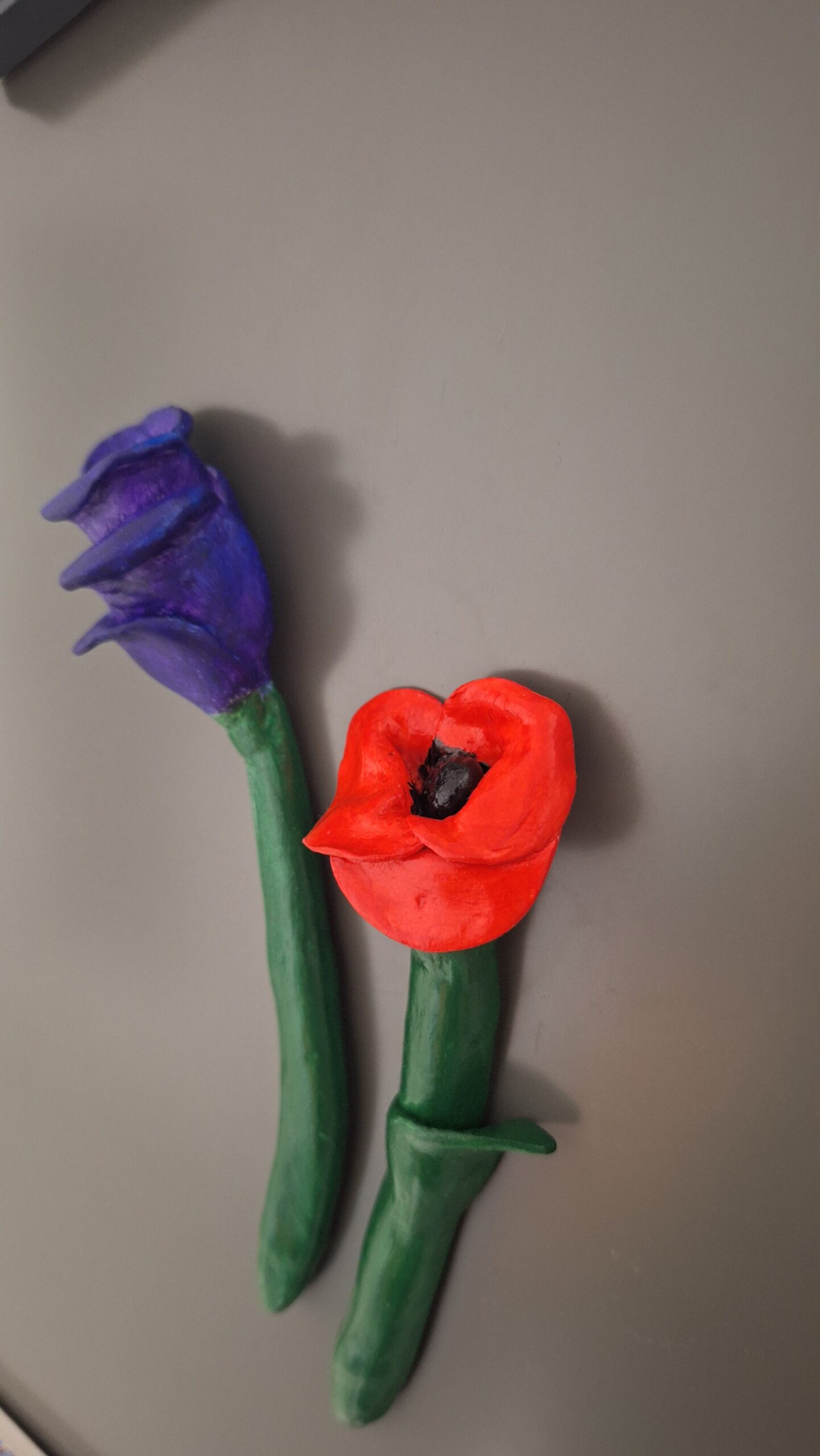 silvestre flor Conjunto de dois ímanes decorativos em cerâmica fria